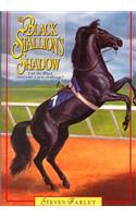 Black Stallion's Shadow