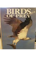 Birds of Prey