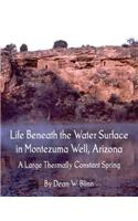 Life Beneath the Water Surface in Montezuma Well, Arizona: A Large Thermally Constant Spring