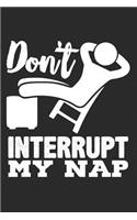 Don't Interrupt My Nap