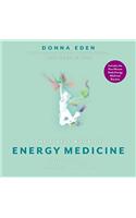 The Little Book of Energy Medicine