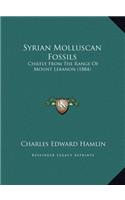 Syrian Molluscan Fossils