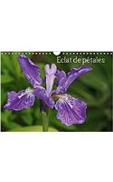 Eclat De Petales 2017: Les Fleurs Embellissent Nos Journees(Calvendo Nature)
