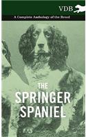 Springer Spaniel - A Complete Anthology of the Breed