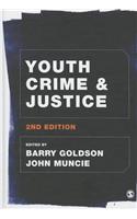 Youth Crime and Justice