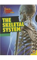 Skeletal System