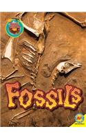 Fossils