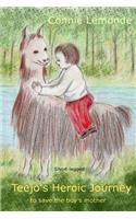 Teejo's Heroic Journey