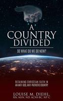 Country Divided, So What Do We Do Now?: Retaining Christian Faith in an Anti-God, Anti-Patriotic Country