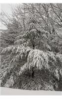 Scenic Winter Photo Journal Snow Covered Evergreen