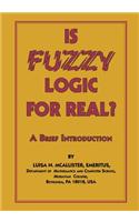 Is Fuzzy Logic for Real?: A Brief Introduction(English)