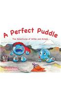 A Perfect Puddle