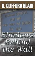 Shadows Behind the Wall