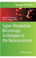 Super-Resolution Microscopy Techniques in the Neurosciences