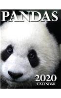 Pandas 2020 Calendar