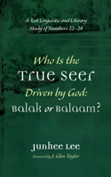 Who Is the True Seer Driven by God