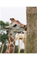 Giraffe Kiss Dot Grid Bullet Journal