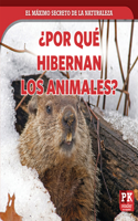 ¿Por Qué Hibernan Los Animales? (Why Animals Hibernate)