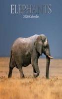 ELEPHANTS 2020