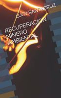 Recuperacion Minero Ambiental