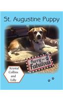 St. Augustine Puppy