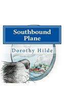 Southbound Plane