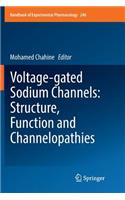 Voltage-gated Sodium Channels: Structure, Function and Channelopathies
