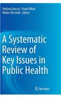 Systematic Review of Key Issues in Public Health