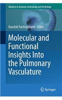Molecular and Functional Insights Into the Pulmonary Vasculature