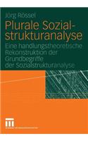 Plurale Sozialstrukturanalyse