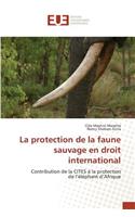 Protection de la Faune Sauvage En Droit International