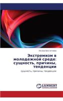 Ekstremizm V Molodezhnoy Srede: Sushchnost', Prichiny, Tendentsii