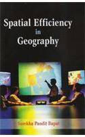 Spatial Efficiency in Geography