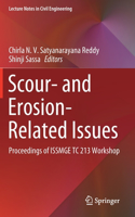 Scour- and Erosion-Related Issues