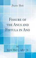 Fissure of the Anus and Fistula in Ano (Classic Reprint)