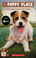 Rascal: Volume 4(Puppy Place S.)