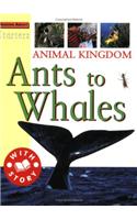 Starters: Animal Kingdom-Ants To Whale