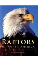 Raptors of North America