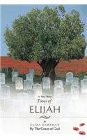 Days of Elijah