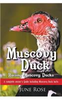 Muscovy Duck
