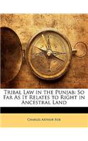 Tribal Law in the Punjab