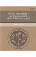 Analysis of Flexible Fiber Suspensions Using the Lattice Boltzmann Method