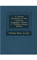A Concise Dictionary of the Assyrian Languages, Volume 2