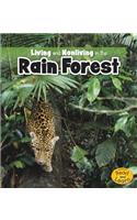 Living and Nonliving in the Rain Forest: (Is It Living or Nonliving?)