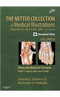 Netter Collection of Medical Illustrations: Musculoskeletal System, Volume 6, Part II - Spine and Lower Limb