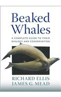 Beaked Whales