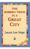 Bobbsey Twins in a Great City
