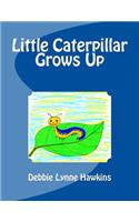 Little Caterpillar Grows Up: (English)