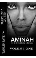 Diary of a Queen: Aminah: The Hidden Royal(Diary of a Queen)
