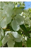 Journal Springtime Flowering Trees